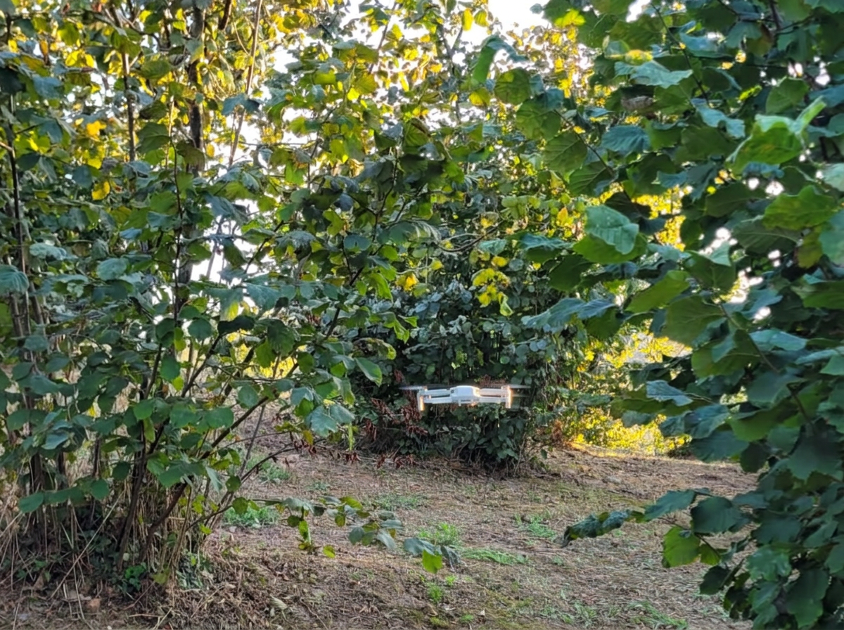 Dron ile bahçe taraması